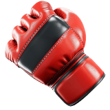 MMA & Combat icon