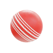 Cricket Betting icon